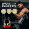 [Optimum Nutrition] ON Whey 乳清蛋白 雙濃巧克力 金牌頂級高蛋白 (3.63公斤 / 119份)