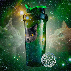 blender bottle cats